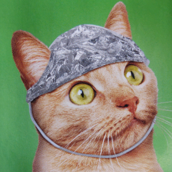 Meet your Posher, Kyle - Picture 1 of 1